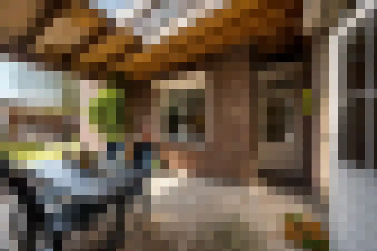 Vroenstraat 9 Kerkrade thumbnail 33