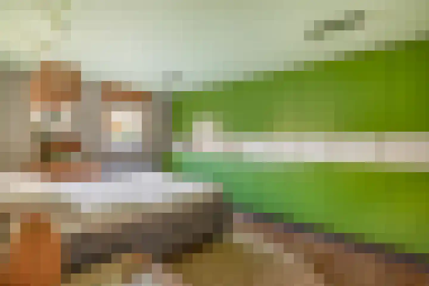 Vroesenkade 16 Rotterdam thumbnail 15