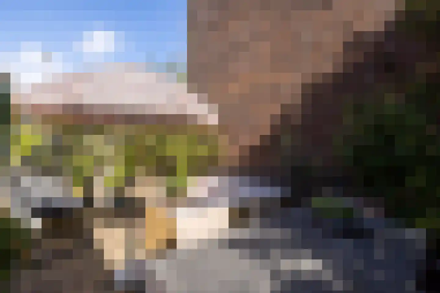 Vroesenlaan 1 A Rotterdam thumbnail 34
