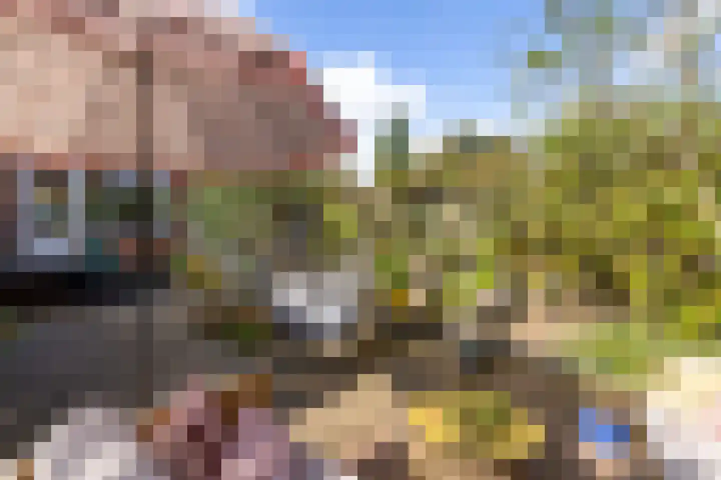 Vroesenlaan 1 A Rotterdam thumbnail 35