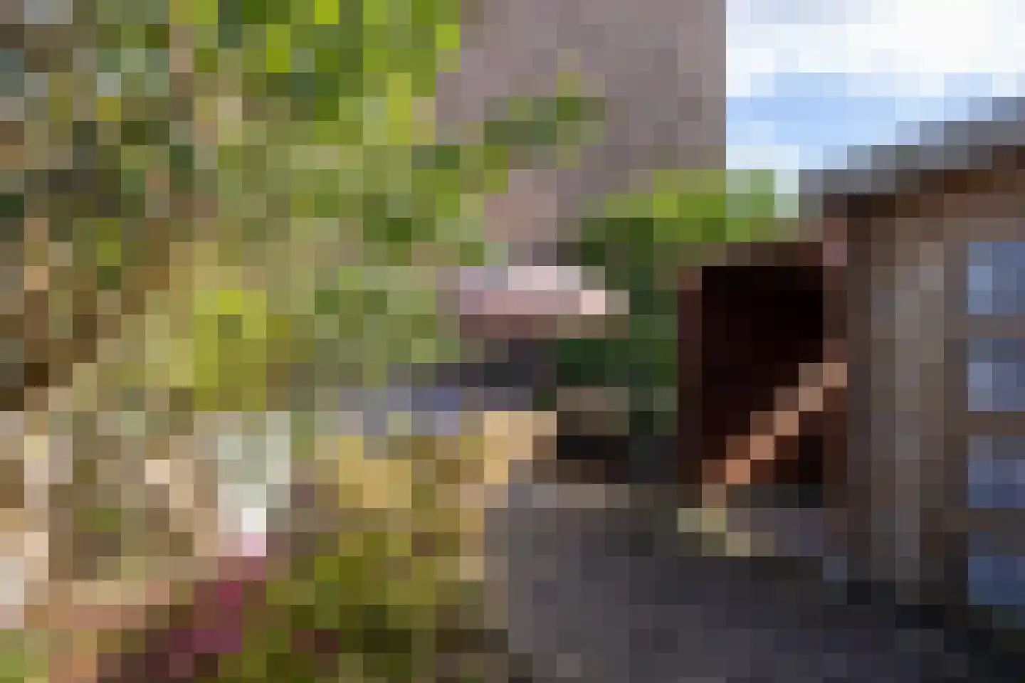 Vroesenlaan 1 A Rotterdam thumbnail 37