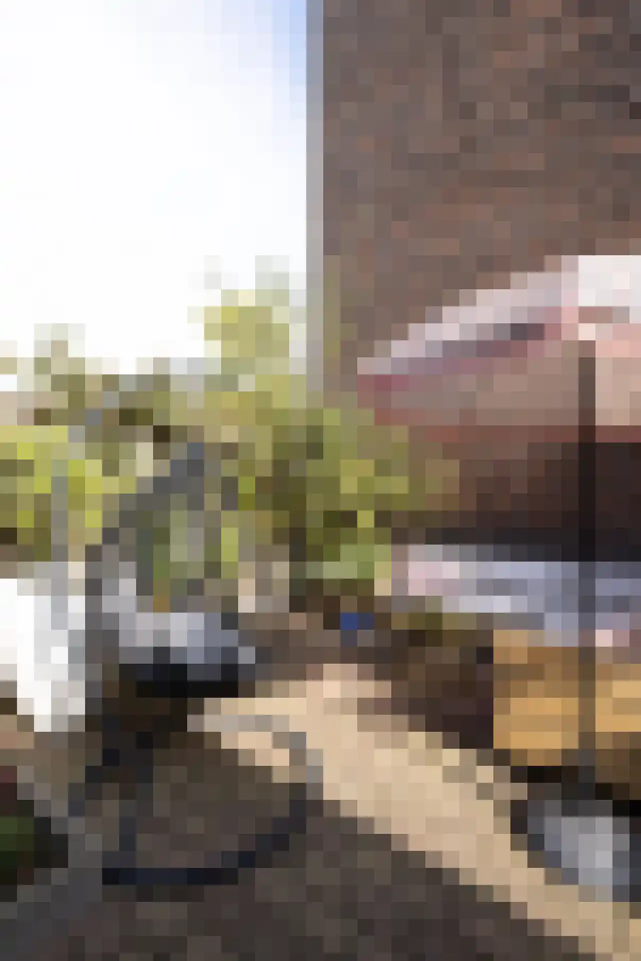 Vroesenlaan 1 A Rotterdam thumbnail 41