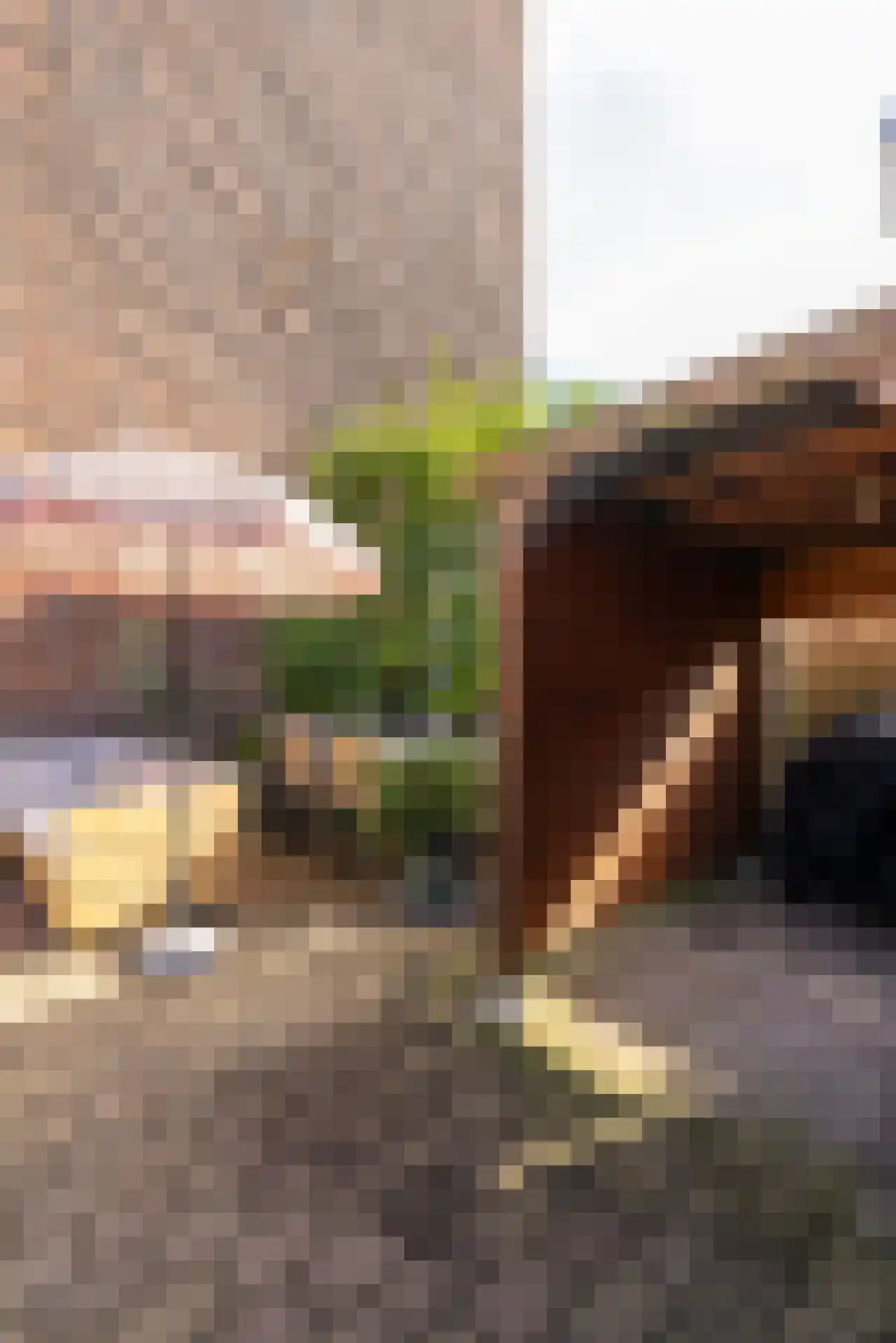 Vroesenlaan 1 A Rotterdam thumbnail 43