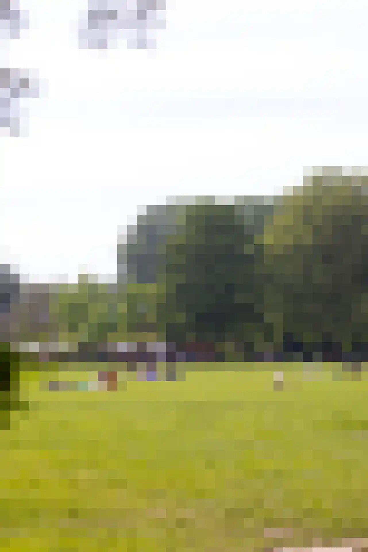 Vroesenlaan 1 A Rotterdam thumbnail 50