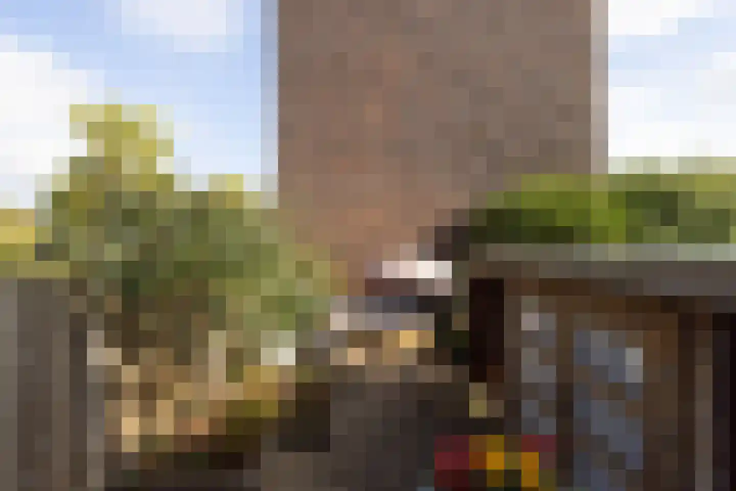 Vroesenlaan 1 A Rotterdam thumbnail 6