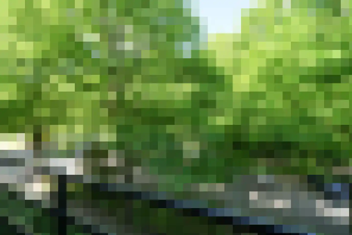 Vroesenlaan 14 D Rotterdam thumbnail 14