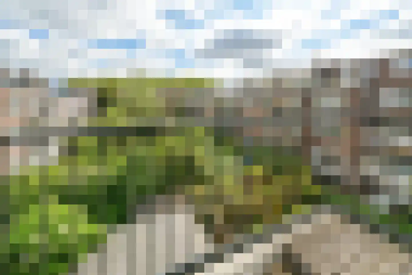 Vroesenlaan 14 D Rotterdam thumbnail 17