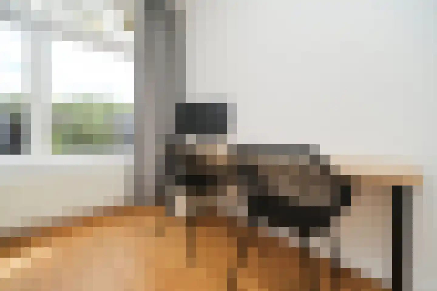 Vroesenlaan 14 D Rotterdam thumbnail 23