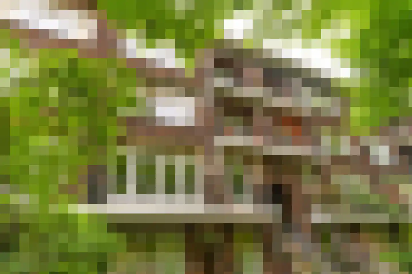 Vroesenlaan 14 D Rotterdam thumbnail 24