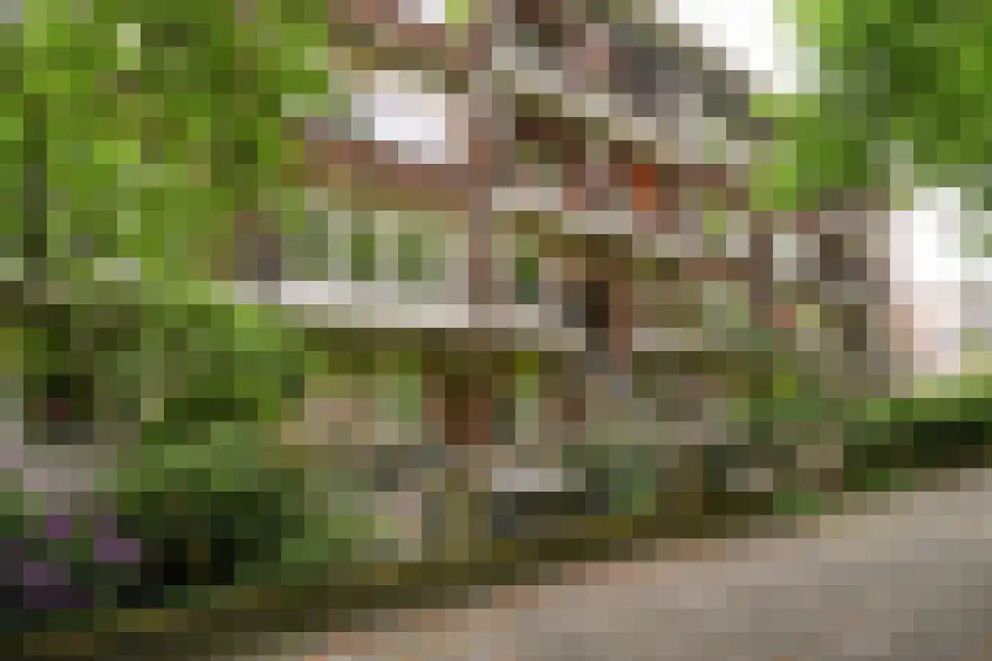 Vroesenlaan 14 D Rotterdam thumbnail 25