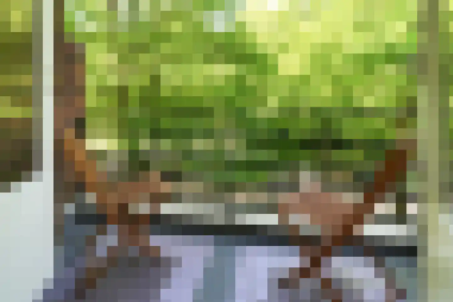 Vroesenlaan 14 D Rotterdam thumbnail 4