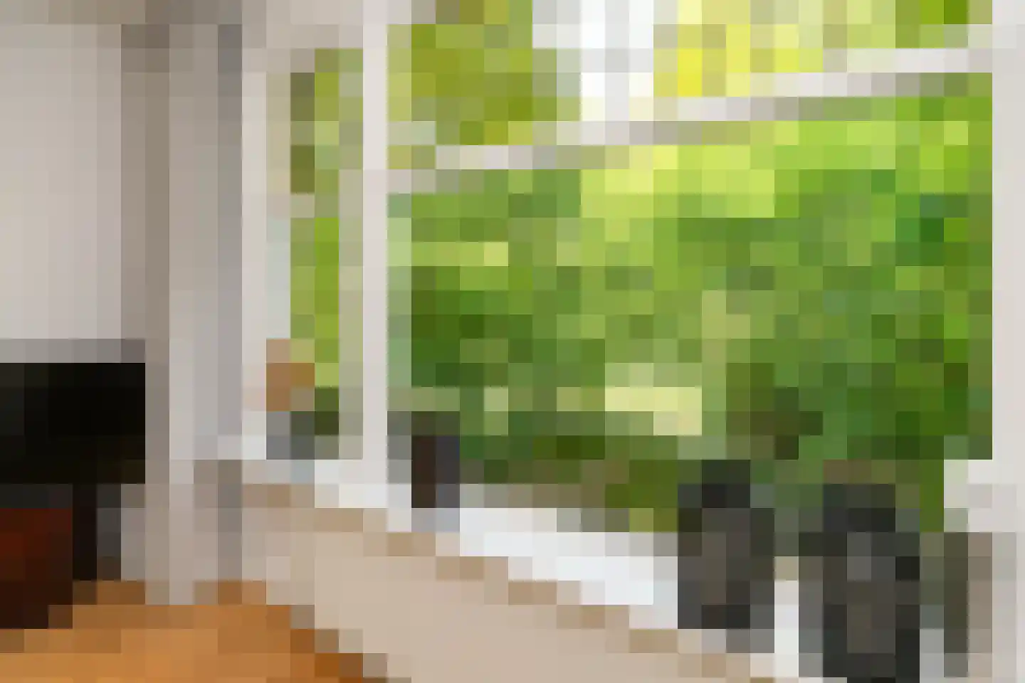 Vroesenlaan 14 D Rotterdam thumbnail 9