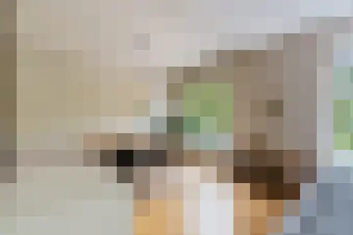 Vroesenlaan 29 D Rotterdam thumbnail 10