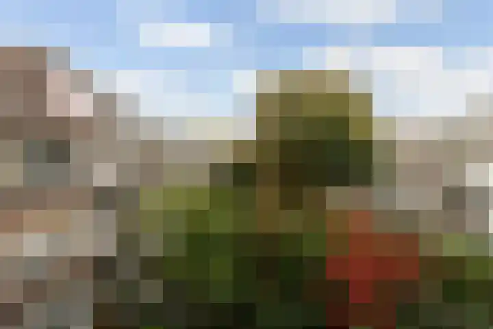 Vroesenlaan 29 D Rotterdam thumbnail 23