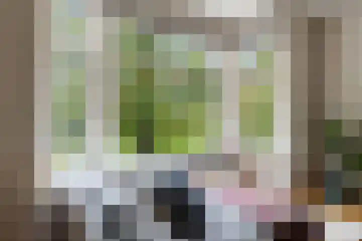 Vroesenlaan 29 D Rotterdam thumbnail 6