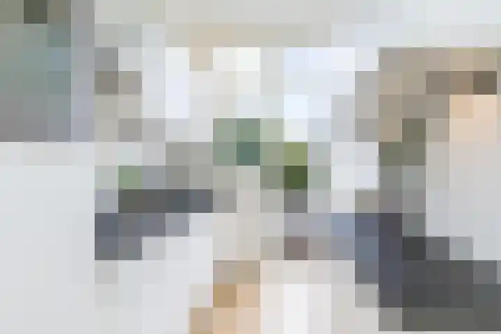Vroesenlaan 30 D Rotterdam thumbnail 12