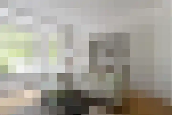 Vroesenlaan 30 D Rotterdam thumbnail 12