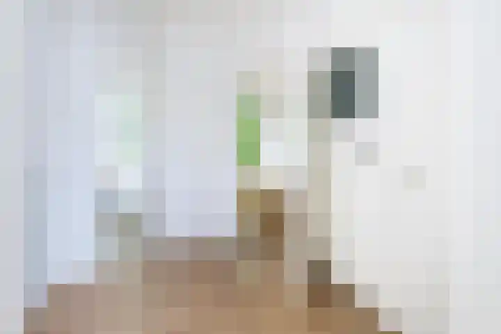 Vroesenlaan 30 D Rotterdam thumbnail 17