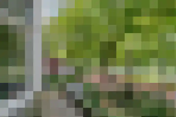 Vroesenlaan 30 D Rotterdam thumbnail 17