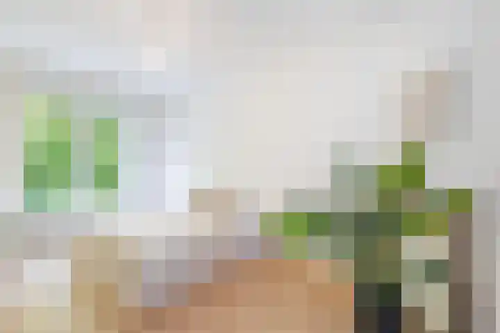 Vroesenlaan 30 D Rotterdam thumbnail 18