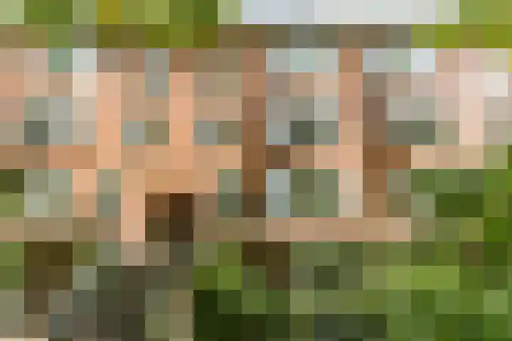 Vroesenlaan 30 D Rotterdam thumbnail 32
