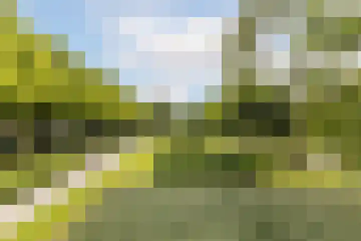 Vroesenlaan 30 D Rotterdam thumbnail 34
