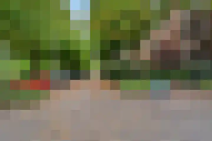 Vroesenlaan 30 D Rotterdam thumbnail 35