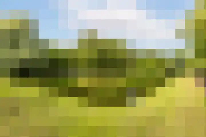 Vroesenlaan 30 D Rotterdam thumbnail 36