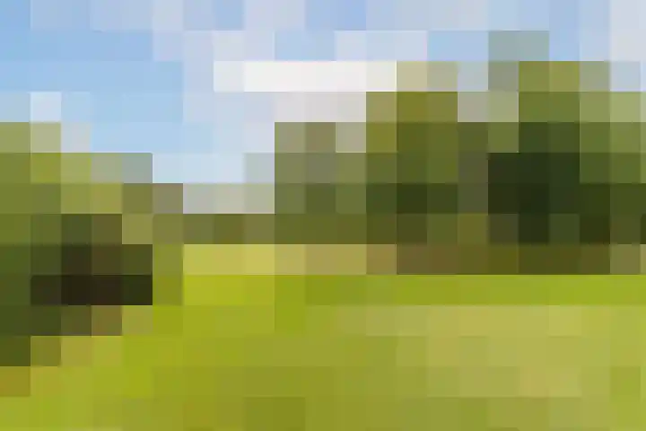 Vroesenlaan 30 D Rotterdam thumbnail 37