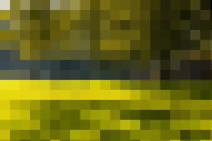 Vroesenlaan 30 D Rotterdam thumbnail 4