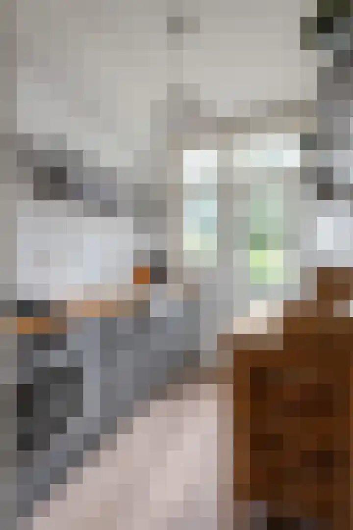 Vroesenlaan 30 D Rotterdam thumbnail 50