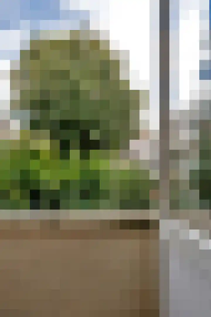 Vroesenlaan 30 D Rotterdam thumbnail 52