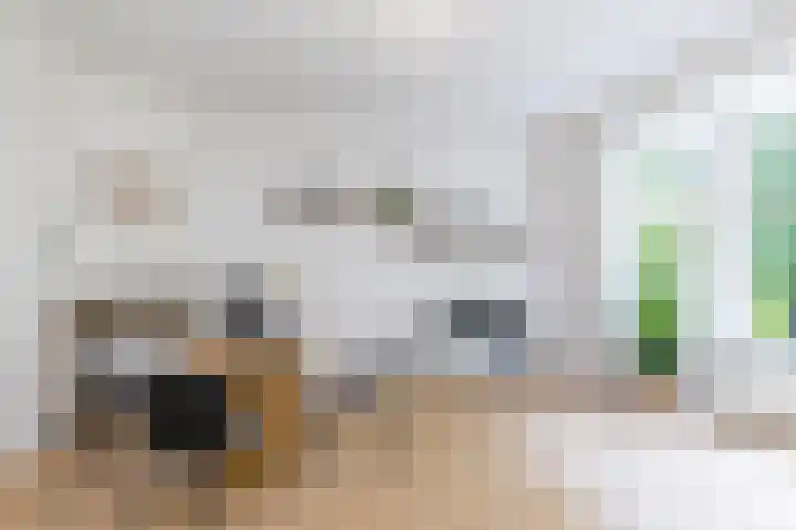 Vroesenlaan 30 D Rotterdam thumbnail 6