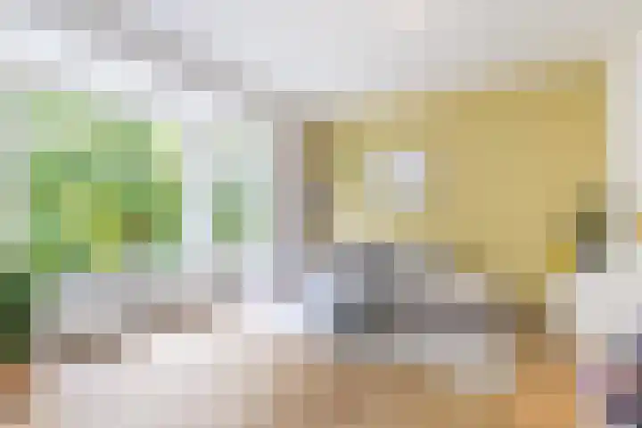 Vroesenlaan 30 D Rotterdam thumbnail 8