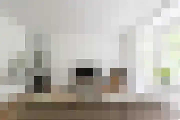 Vroesenlaan 30 D Rotterdam thumbnail 9