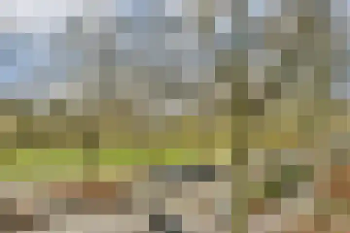 Vroesenlaan 33 C 02 Rotterdam thumbnail 17