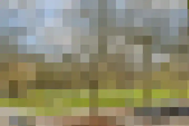 Vroesenlaan 33 C 02 Rotterdam thumbnail 18