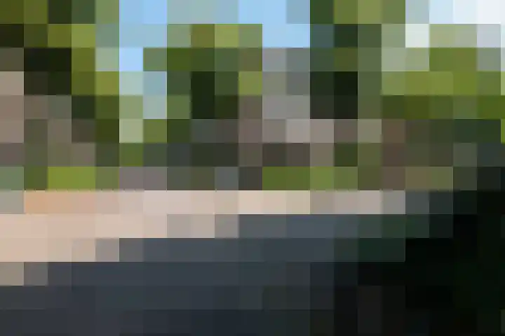 Vroesenlaan 33 C 02 Rotterdam thumbnail 29