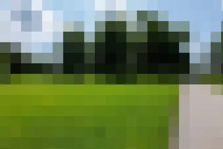 Vroesenlaan 33 C 02 Rotterdam thumbnail 32