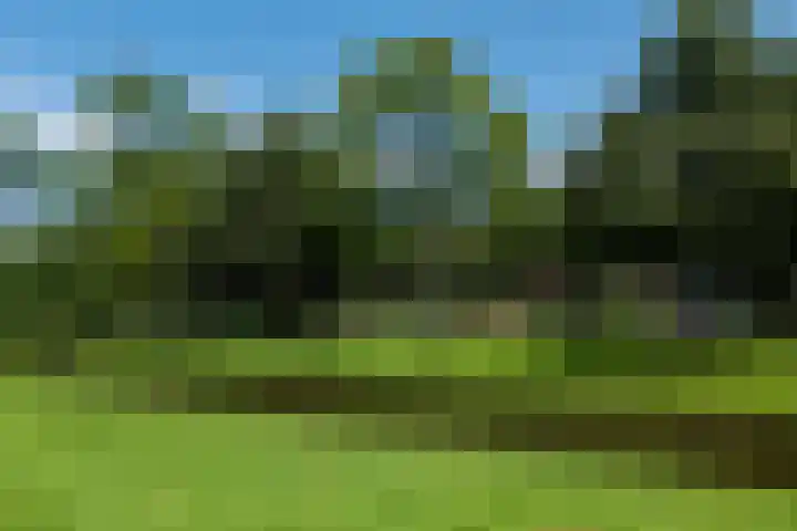 Vroesenlaan 33 C 02 Rotterdam thumbnail 33
