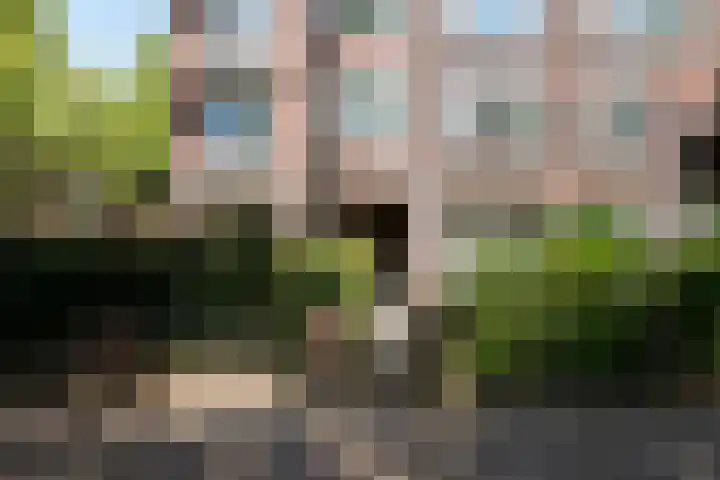 Vroesenlaan 33 C 02 Rotterdam thumbnail 36
