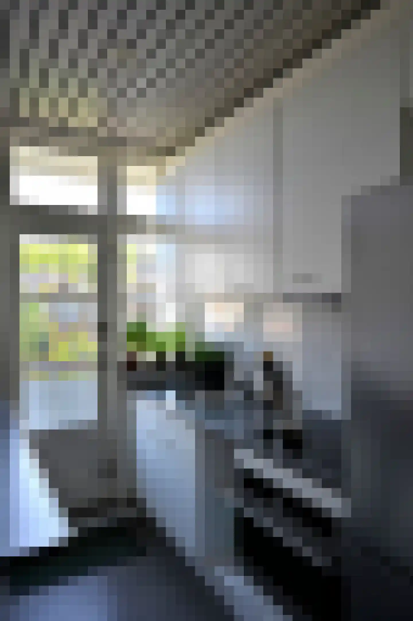 Vroesenlaan 36 C Rotterdam thumbnail 23