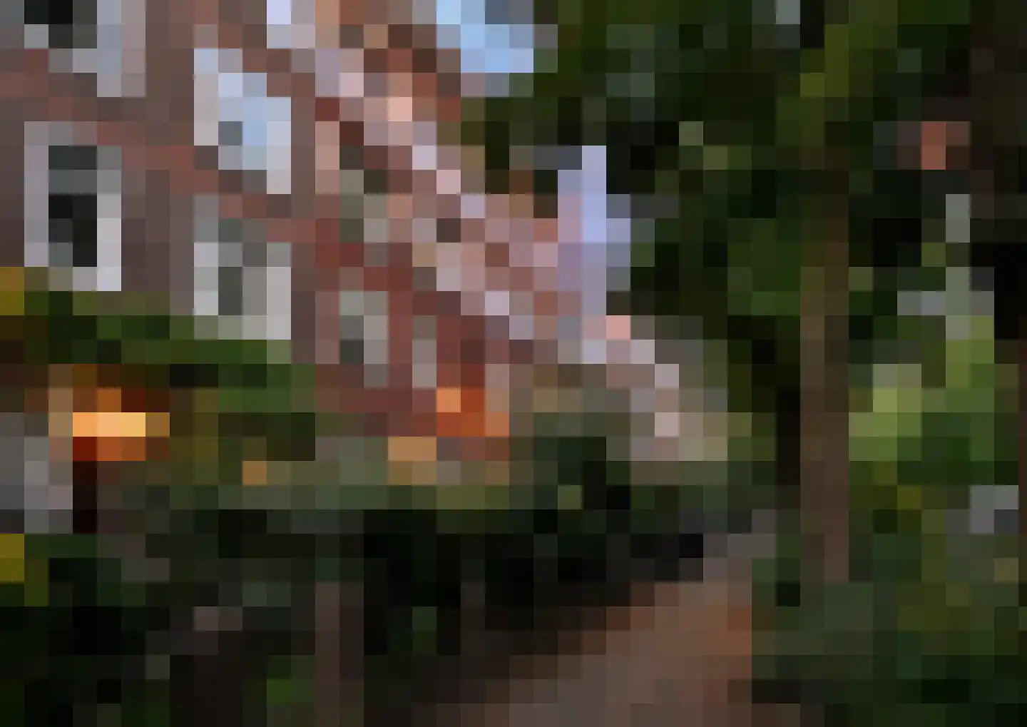 Vroesenlaan 36 C Rotterdam thumbnail 28