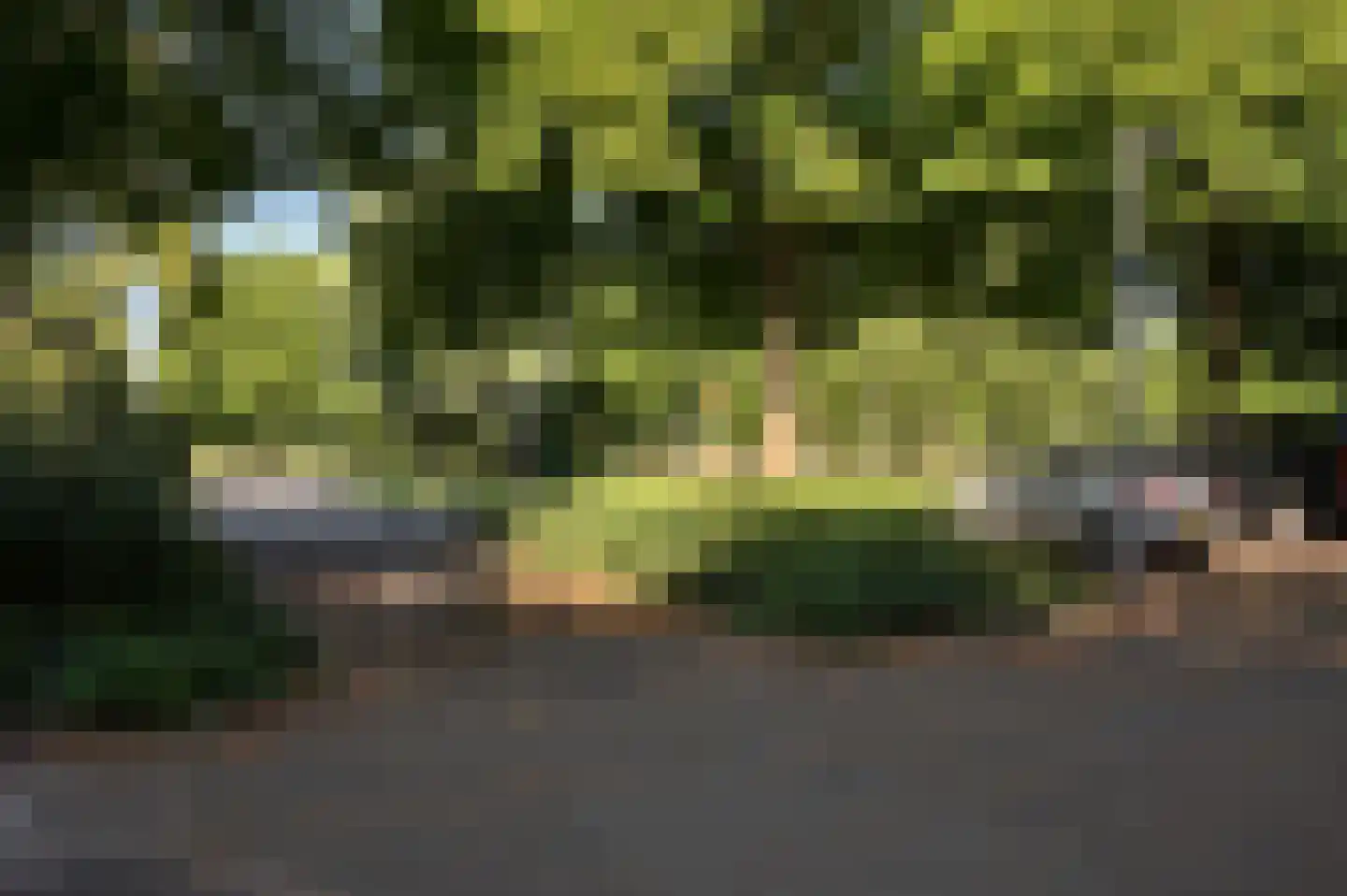 Vroesenlaan 36 C Rotterdam thumbnail 36