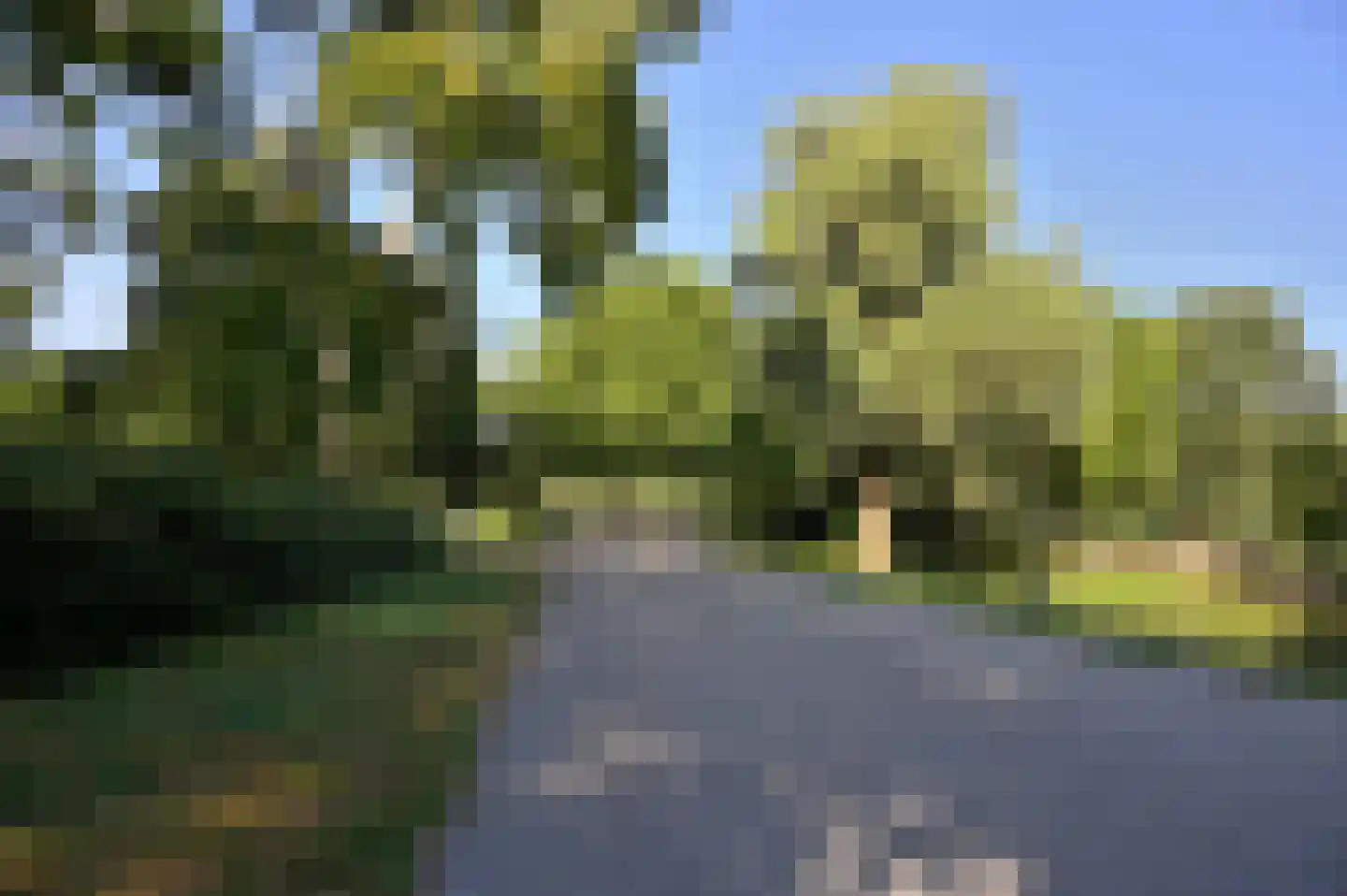 Vroesenlaan 36 C Rotterdam thumbnail 37