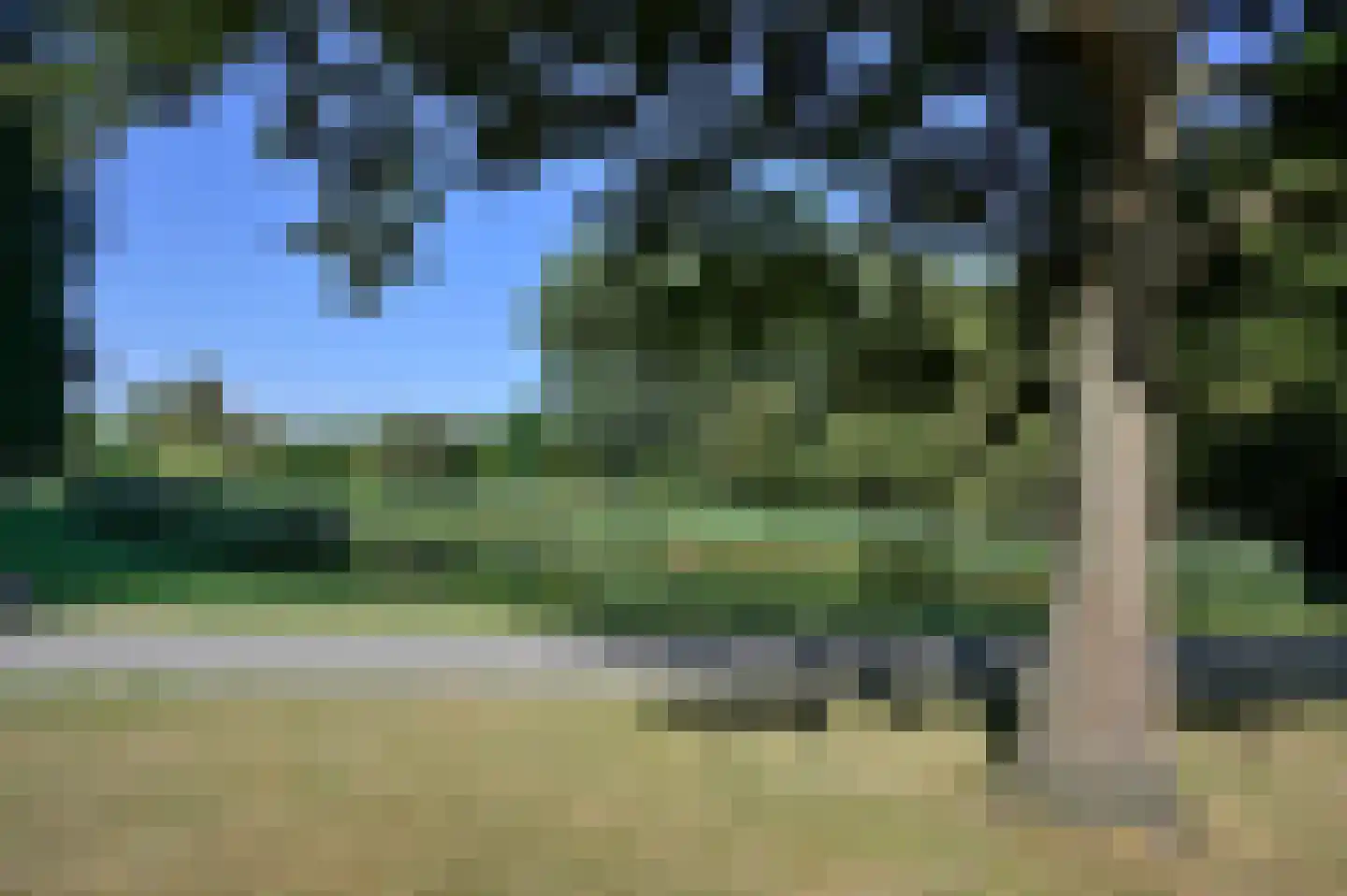 Vroesenlaan 36 C Rotterdam thumbnail 38