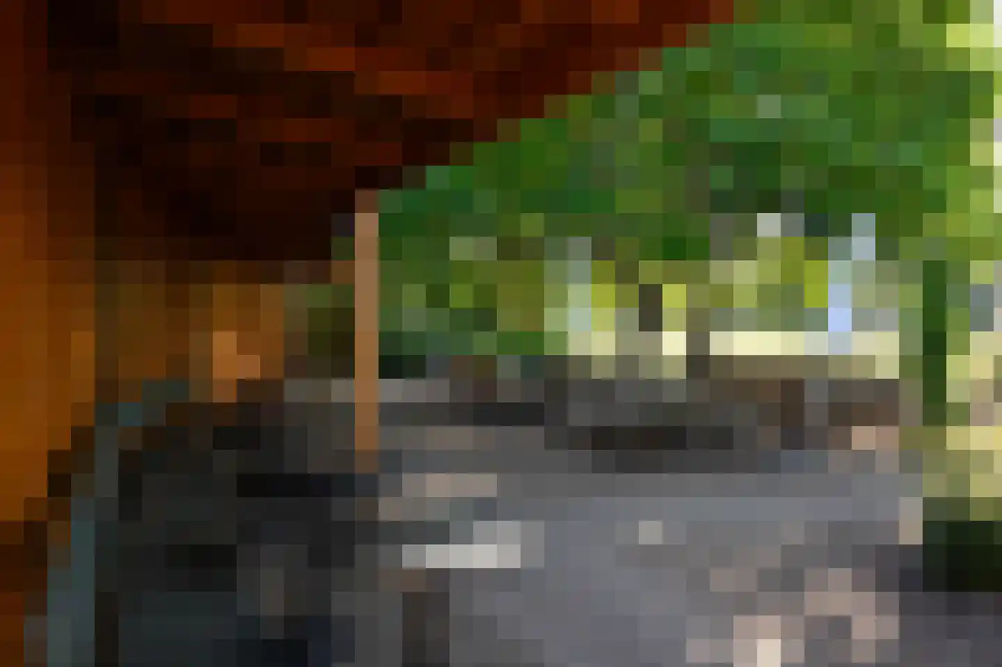 Vroesenlaan 36 C Rotterdam thumbnail 39