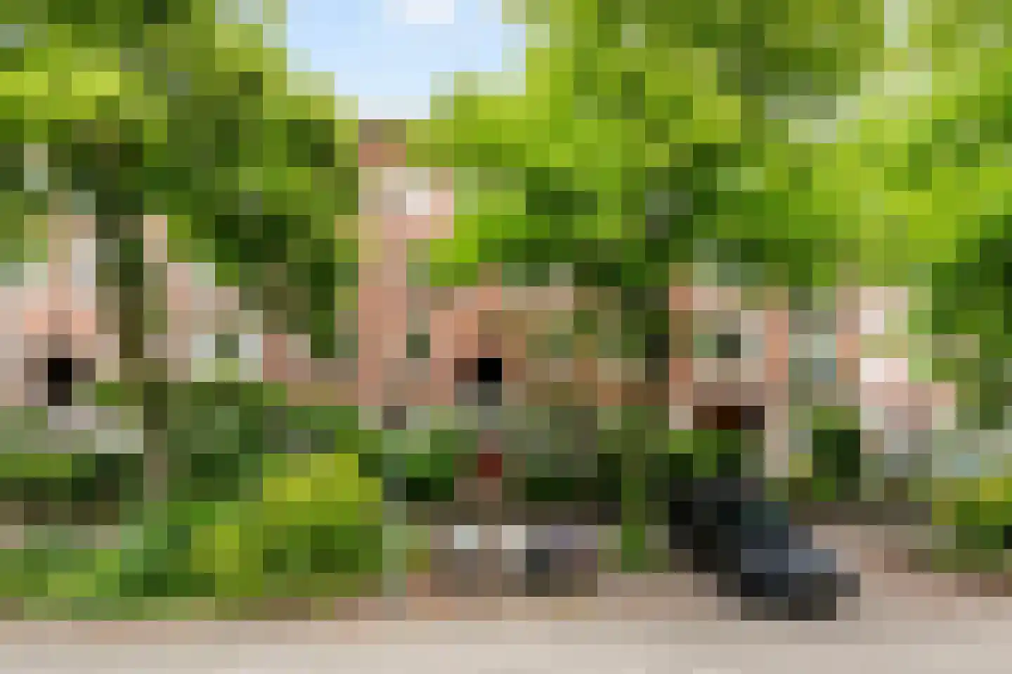 Vroesenlaan 36 C Rotterdam thumbnail 4