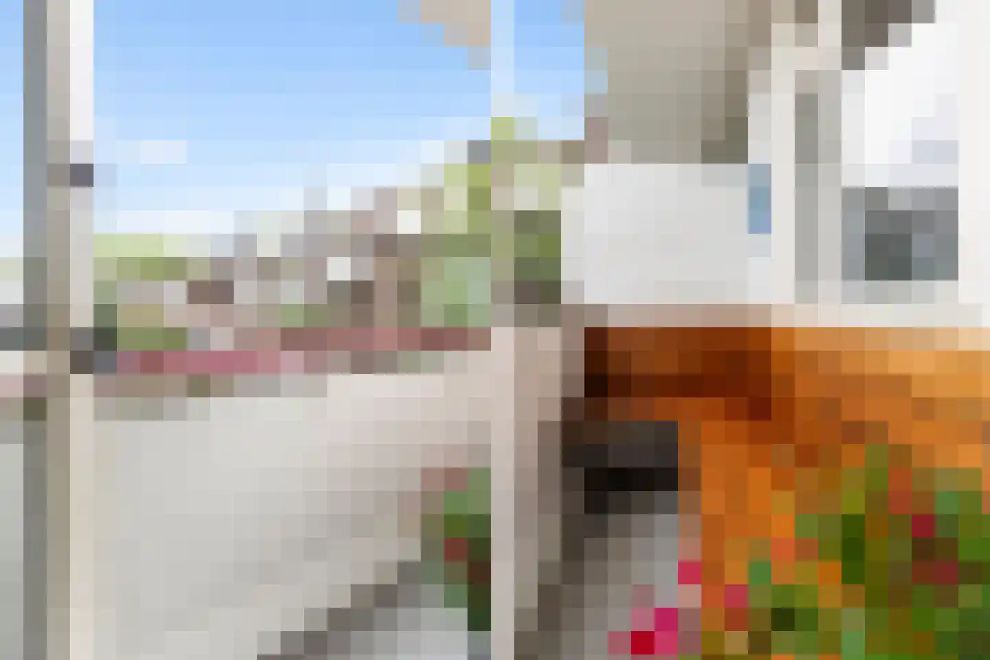 Vroesenlaan 36 D Rotterdam thumbnail 27