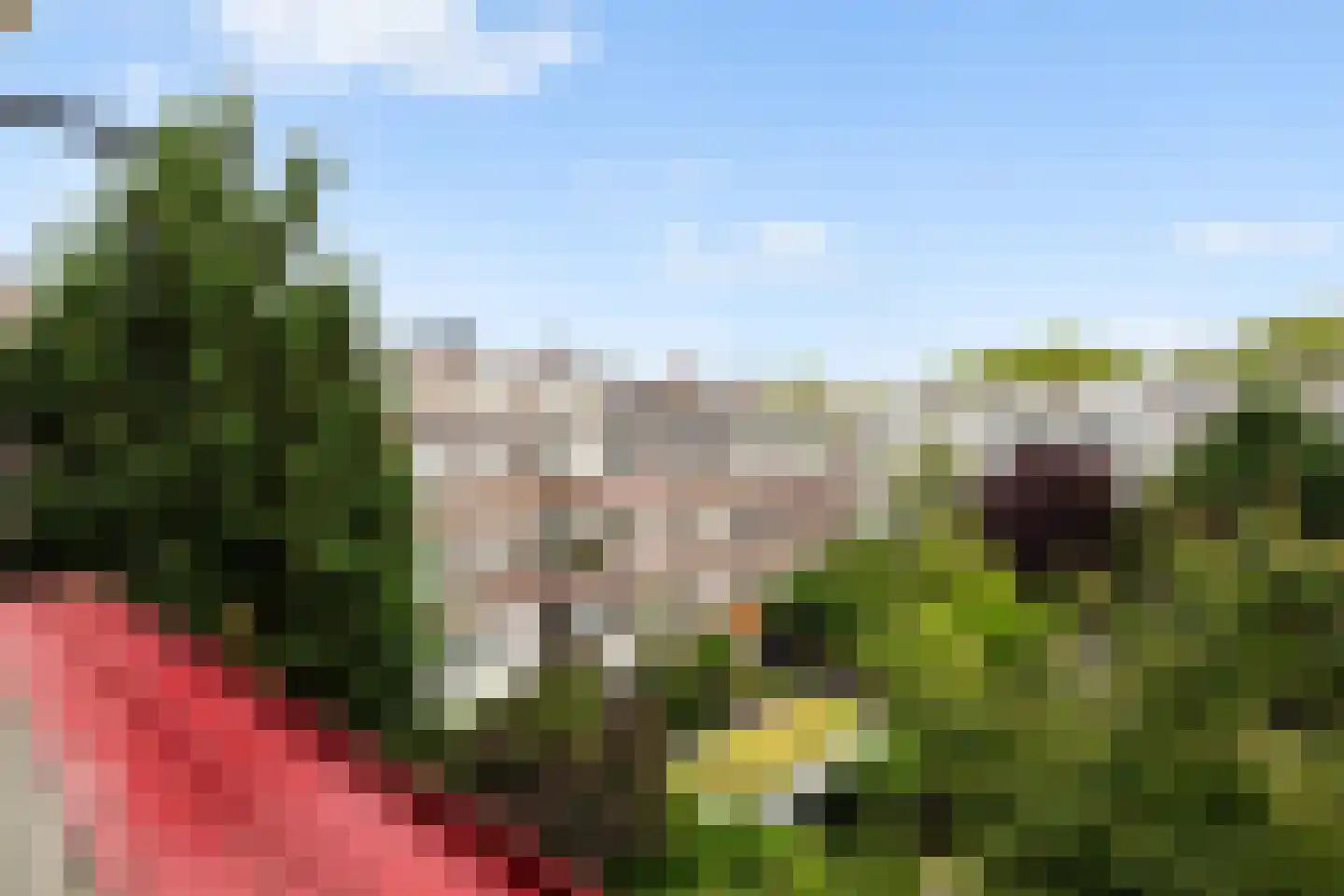 Vroesenlaan 36 D Rotterdam thumbnail 29